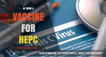 Exploring Hepatitis C Vaccination: Facts, Myths, and Latest Research