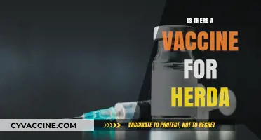 Exploring the Quest for a Herpes Vaccine: Hope or Hype?
