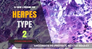 Herpes Type 2 Vaccine: Current Research and Future Possibilities