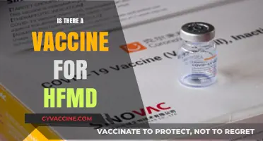 Exploring the Truth: Is There a Vaccine for Hand, Foot, and Mouth Disease?