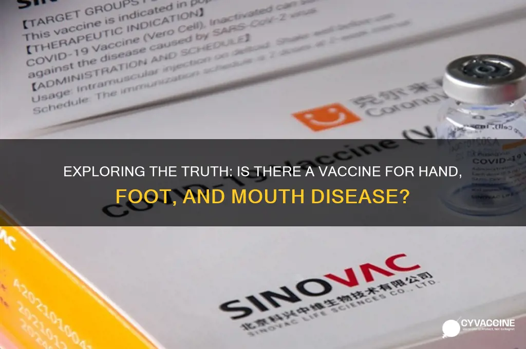 is there a vaccine for hfmd