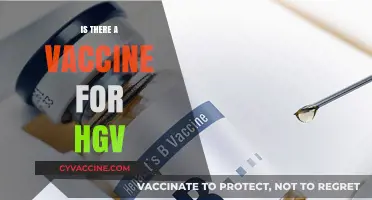 Exploring the Quest for an Effective Hepatitis G Vaccine