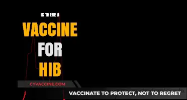 Exploring the Latest on Hib Vaccines: Facts and Updates
