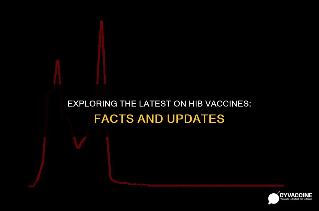 is there a vaccine for hib