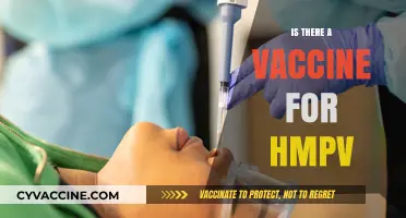 Is There a Vaccine for HMPV? Current Research and Developments