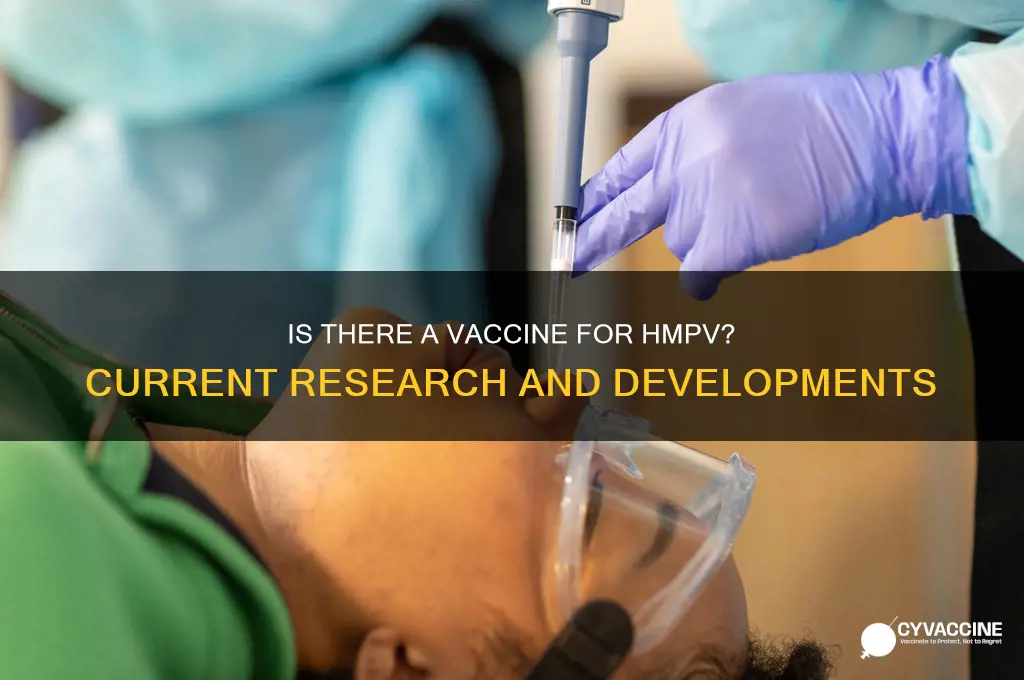 is there a vaccine for hmpv