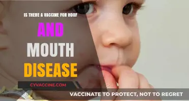 Hoof and Mouth Disease: Vaccine Availability and Prevention Strategies