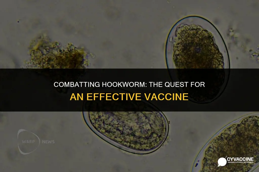 is there a vaccine for hookworm