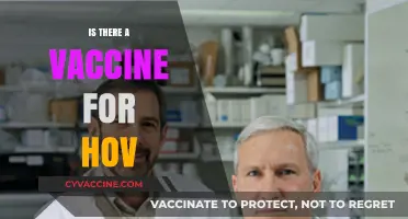 Exploring the Quest for a HOV Vaccine: Facts and Myths