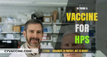 Exploring the Quest for an HPS Vaccine: Facts and Hopes
