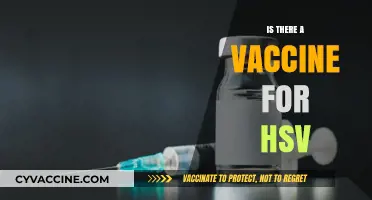 Exploring the Truth: Is There a Vaccine for HSV?