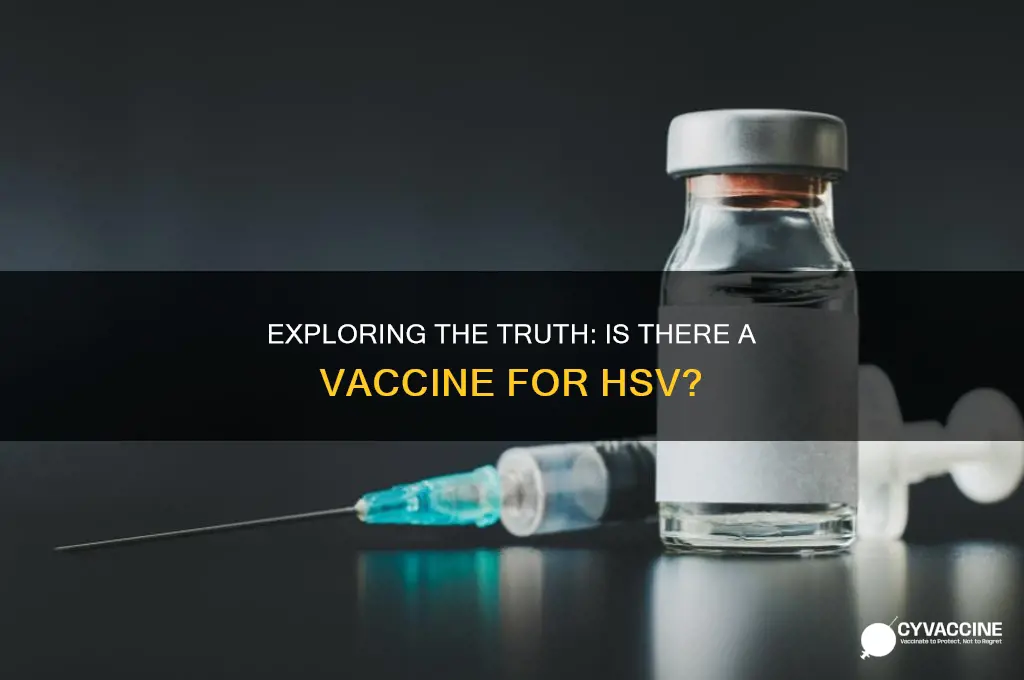 is there a vaccine for hsv