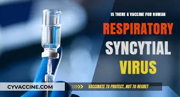 Exploring RSV Vaccines: Current Status and Future Prospects for Prevention