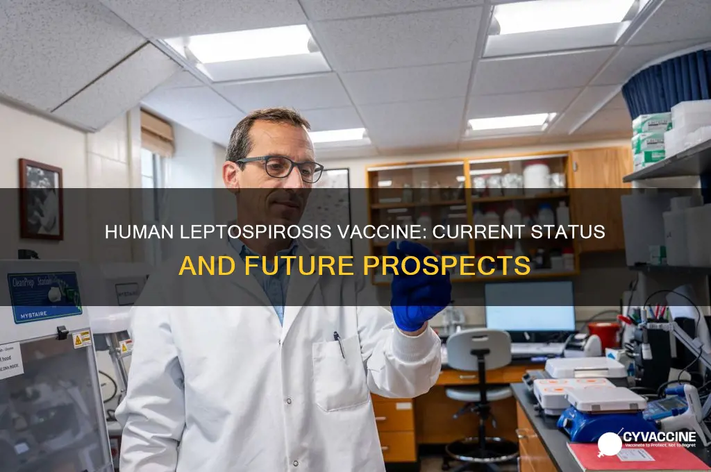 is there a vaccine for humans for leptospirosis