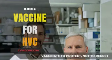 Exploring the Quest for an HVC Vaccine: Facts and Hopes