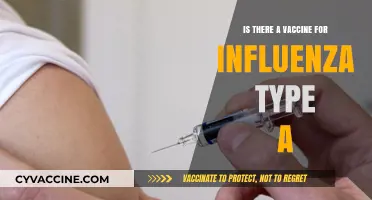 Influenza Type A: Vaccine Availability and Protection Explained