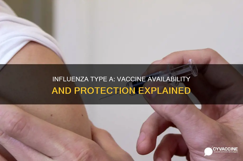 is there a vaccine for influenza type a