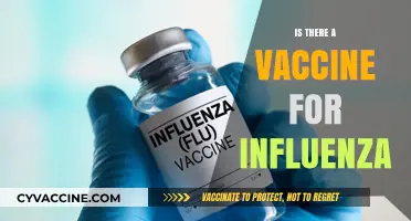 Is There a Vaccine for Influenza? Facts and Updates