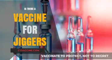Exploring the Quest for a Jigger Vaccine: Facts and Myths