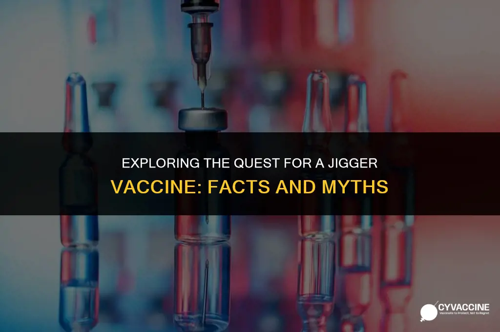 is there a vaccine for jiggers