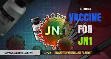 Exploring the Latest on JN.1: Vaccine Developments and What You Need to Know
