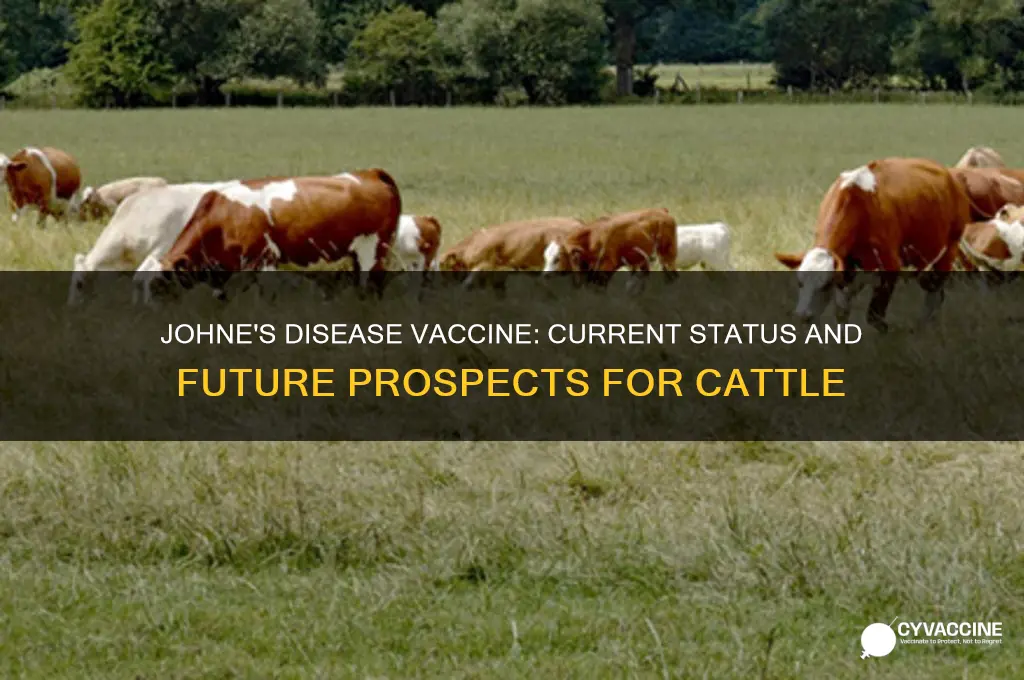 is there a vaccine for johne