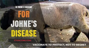 Exploring the Possibility of a Johne's Disease Vaccine: What's Known?