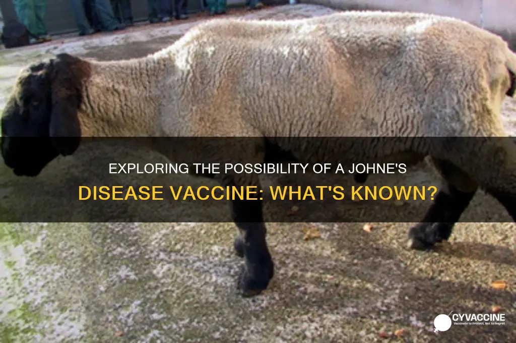 is there a vaccine for johne