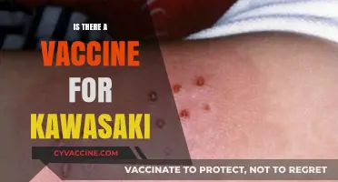 Exploring the Latest on Kawasaki Disease Vaccines: Hope on the Horizon?