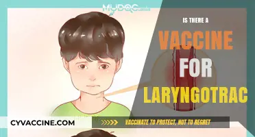 Exploring Treatment Options: Is There a Vaccine for Laryngotracheobronchitis?