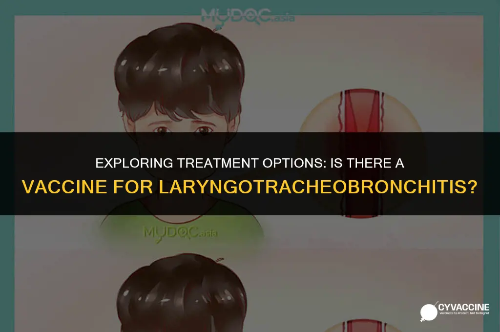 is there a vaccine for laryngotracheobronchitis