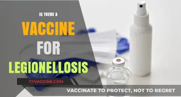 Exploring Prevention: The Quest for a Legionellosis Vaccine