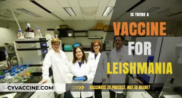 Exploring the Quest for a Leishmaniasis Vaccine: Hope on the Horizon?