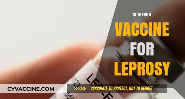 Leprosy Vaccine: Current Status, Effectiveness, and Future Prospects Explored