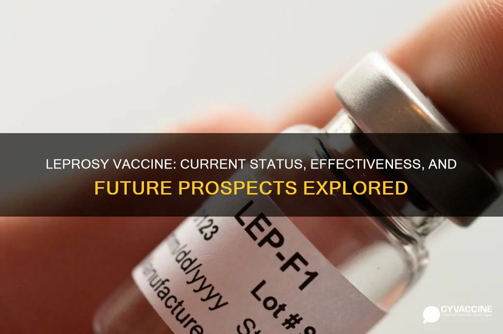 is there a vaccine for leprosy