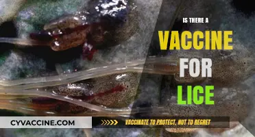 Combatting Lice: The Quest for an Effective Vaccine