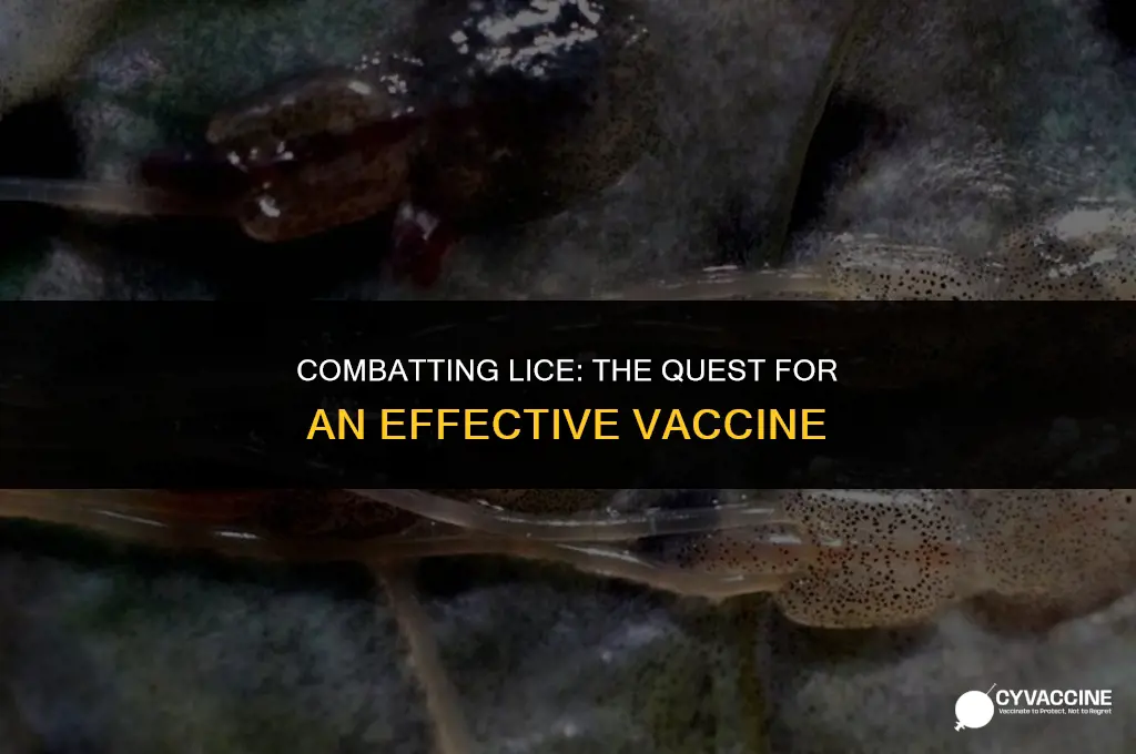 is there a vaccine for lice
