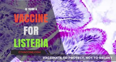 Combatting Listeria: The Quest for an Effective Vaccine