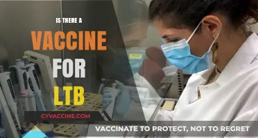 Exploring the Latest on LTB Vaccines: Facts and Myths