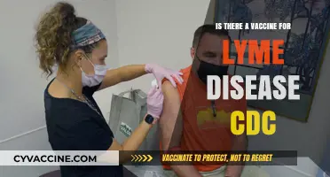 CDC Insights: Is There a Vaccine for Lyme Disease?