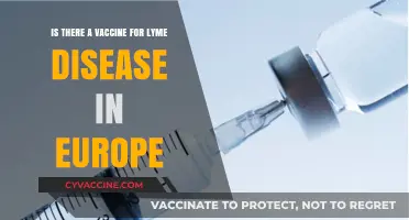 Lyme Disease Vaccine in Europe: Availability, Efficacy, and Updates