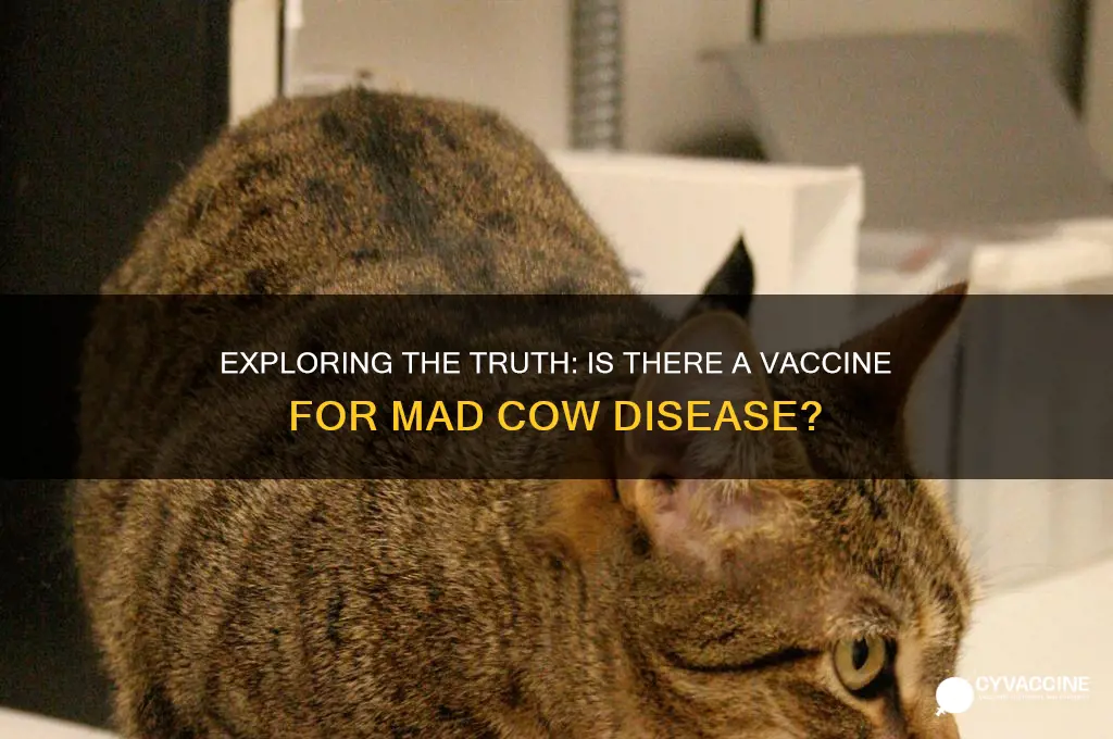 is there a vaccine for mad cow disease