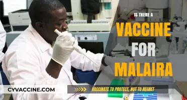 Combatting Malaria: The Quest for an Effective Vaccine