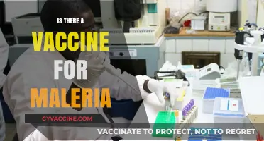 Combatting Malaria: The Quest for an Effective Vaccine