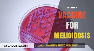 Exploring the Quest for a Melioidosis Vaccine: Hope on the Horizon?