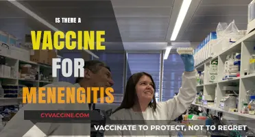 Combatting Meningitis: The Quest for Effective Vaccination