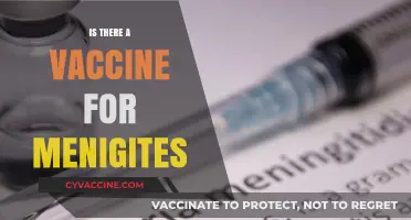 Combatting Meningitis: The Quest for Effective Vaccination