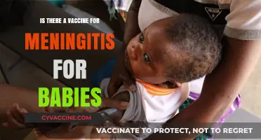Protecting Infants: Meningitis Vaccines for Babies Explained