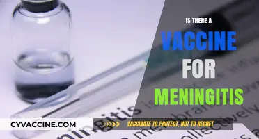 Meningitis Vaccine: Availability, Effectiveness, and Prevention Explained