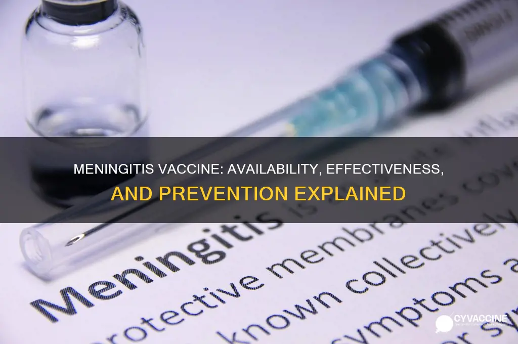 is there a vaccine for meningitis